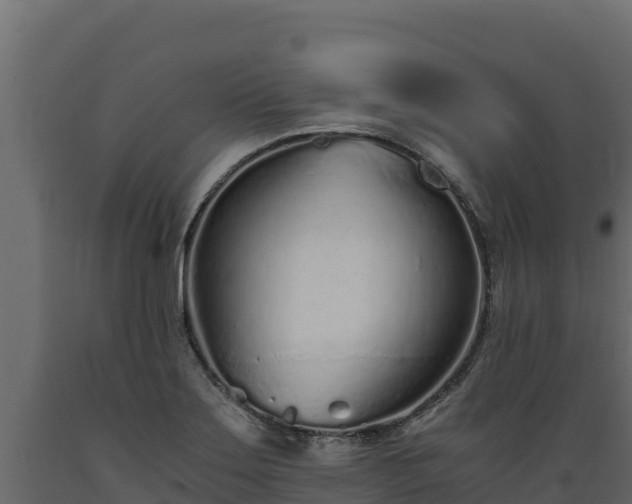 X0000089931275200707061032