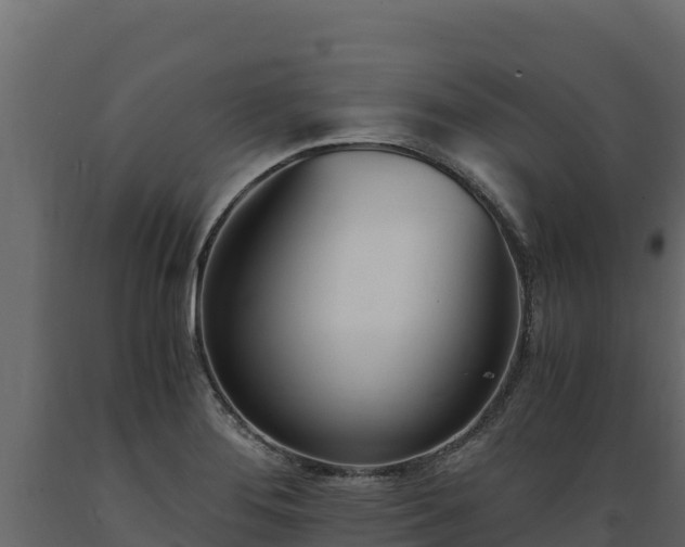 X0000089931276200707061032