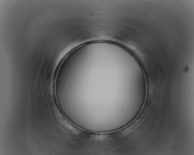 X0000089931278200707061032