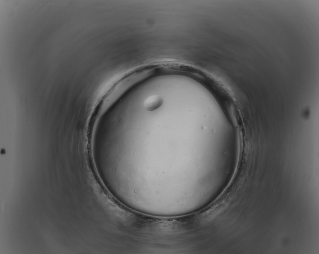 X0000089931279200707061032