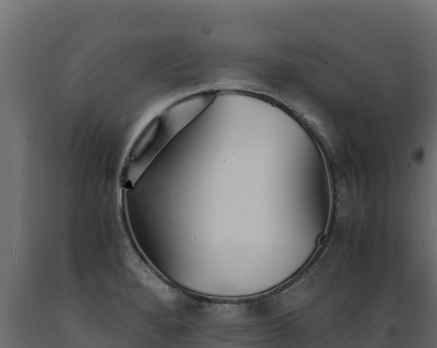 X0000089931280200707061032