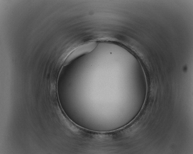 X0000089931281200707061032