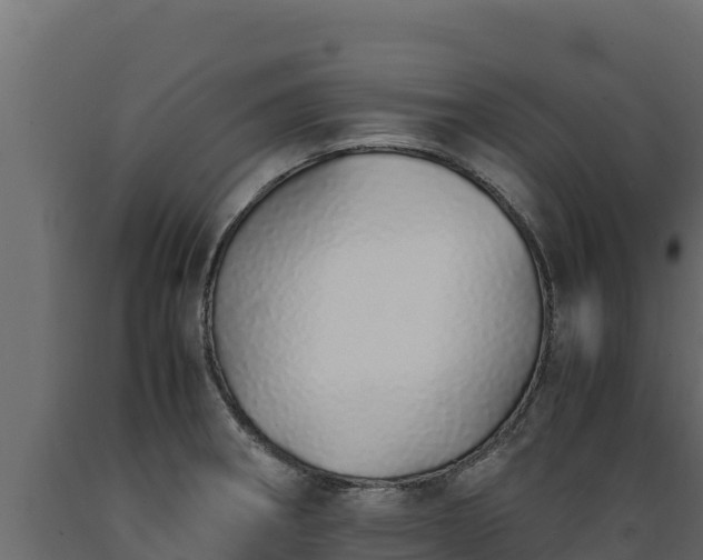 X0000089931282200707061032