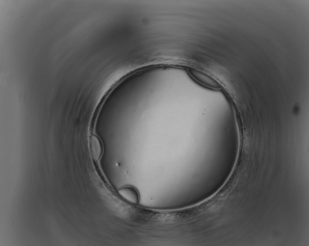 X0000089931283200707061032