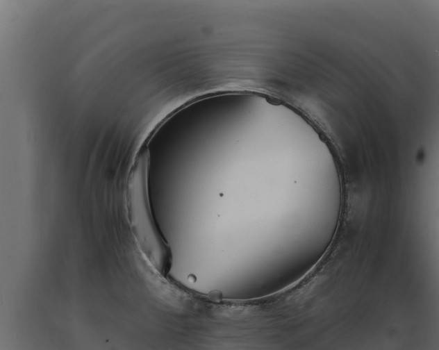 X0000089931284200707061032