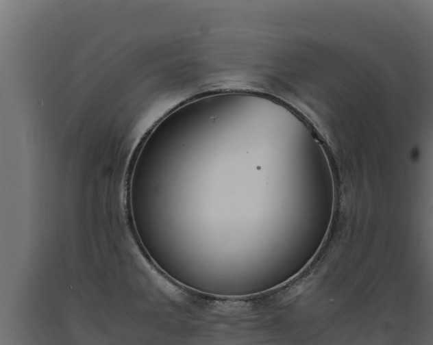 X0000089931285200707061032