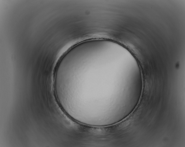 X0000089931286200707061032