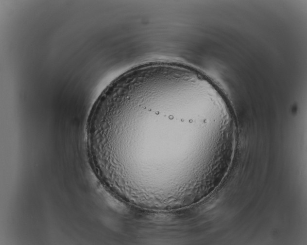 X0000089931287200707061032