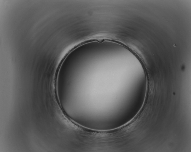 X0000089931288200707061032