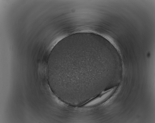 X0000089931289200707061032