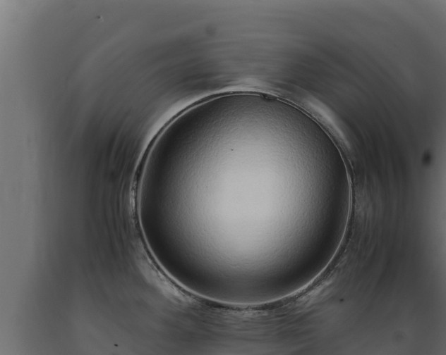 X0000089931292200707061032