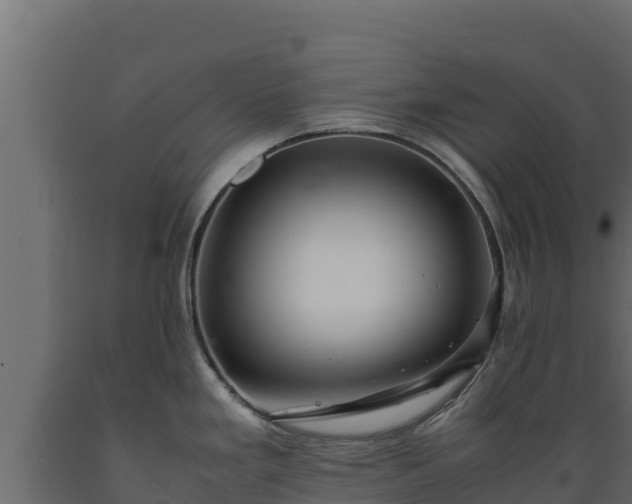 X0000089931293200707061032