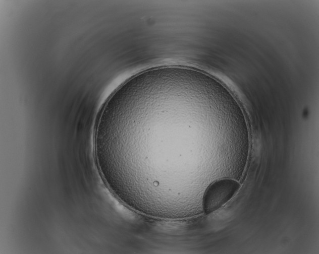 X0000089931294200707061031