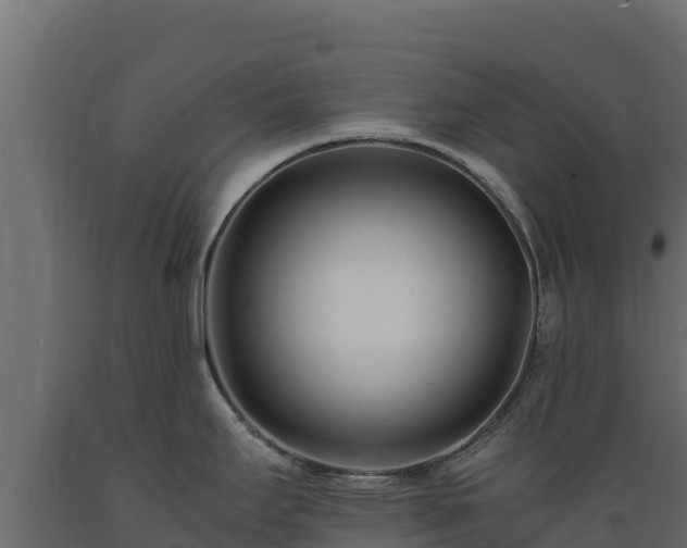 X0000089931295200707061031