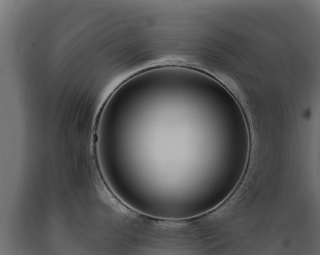 X0000089931296200707061031