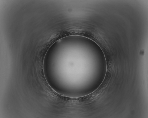 X0000089931297200707061031