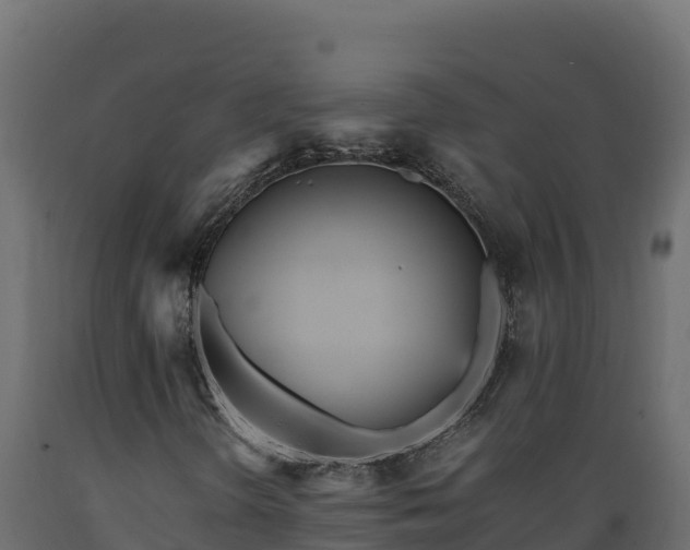 X0000089931298200707061031