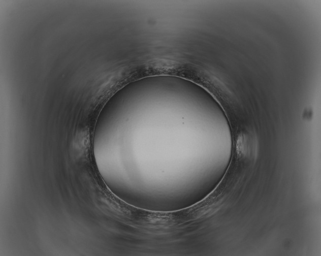 X0000089931299200707061031