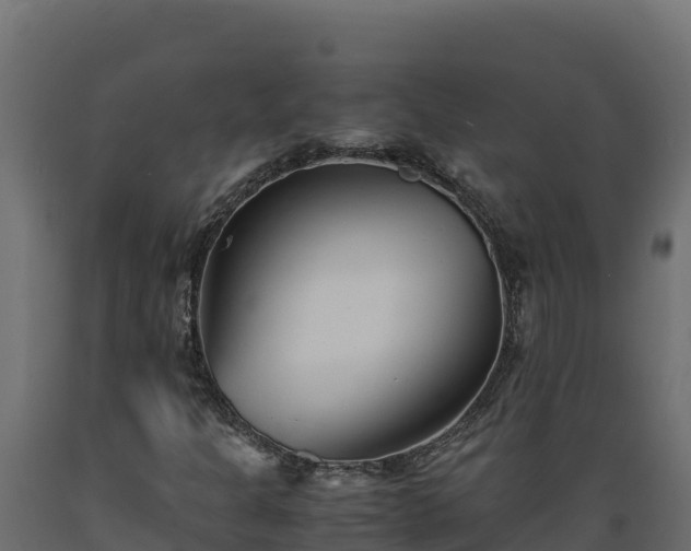 X0000089931301200707061031