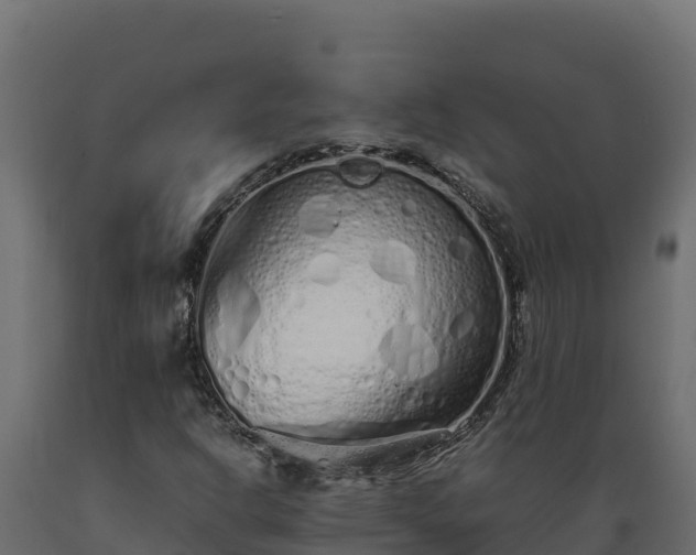 X0000089931302200707061031