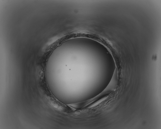 X0000089931303200707061031