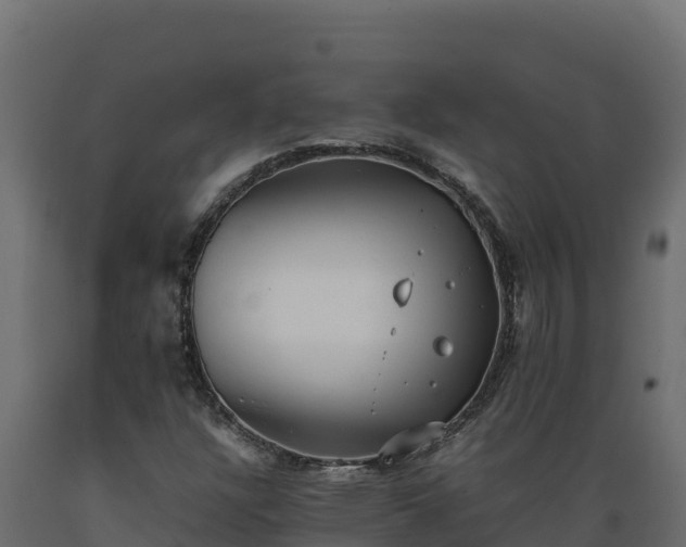 X0000089931304200707061031