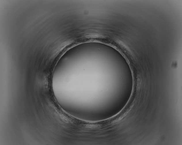 X0000089931305200707061031