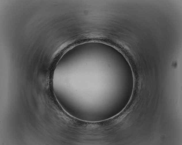 X0000089931306200707061031