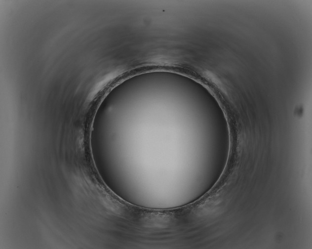 X0000089931307200707061031