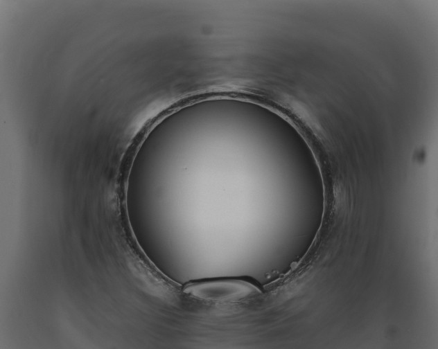 X0000089931308200707061031