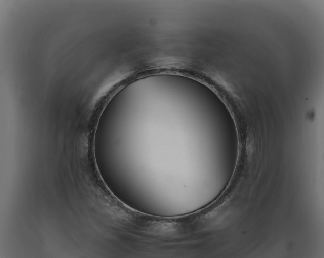 X0000089931309200707061031