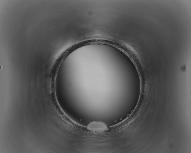 X0000089931310200707061031