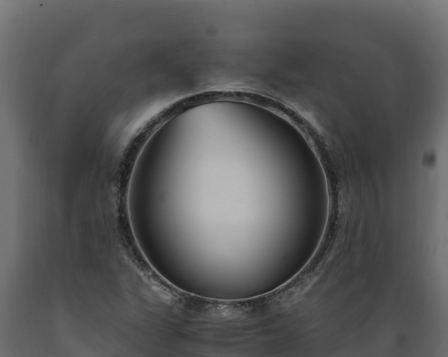 X0000089931311200707061031