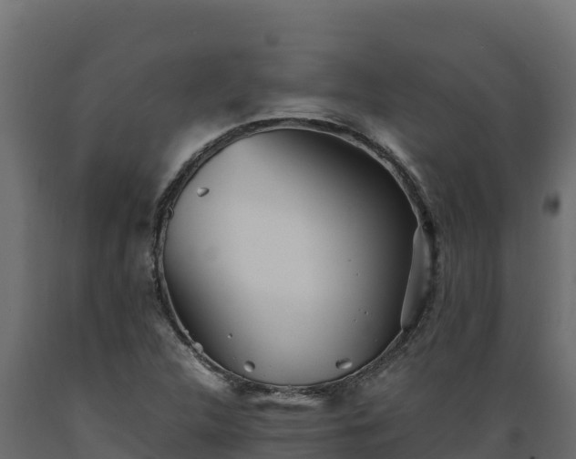 X0000089931312200707061031