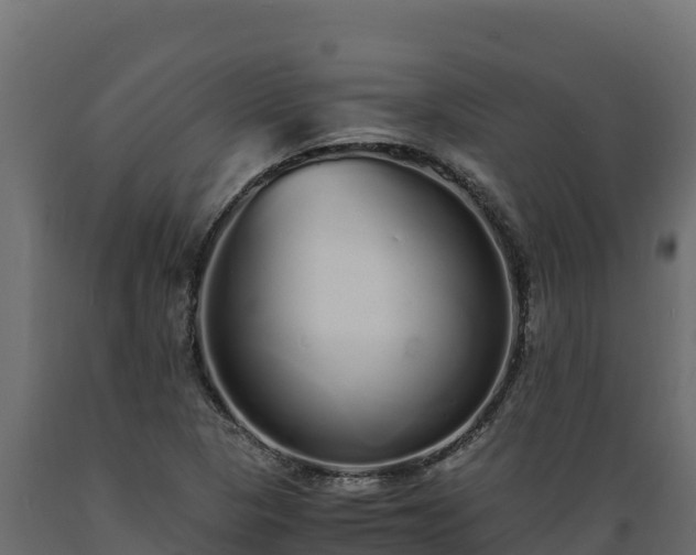 X0000089931313200707061031