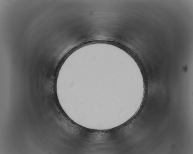 X0000089931314200707061031