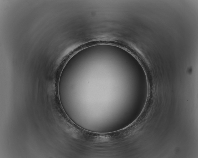 X0000089931315200707061031