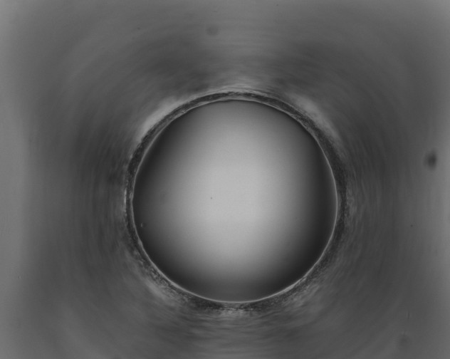 X0000089931316200707061031