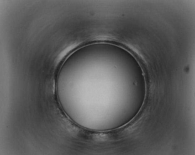 X0000089931317200707061031