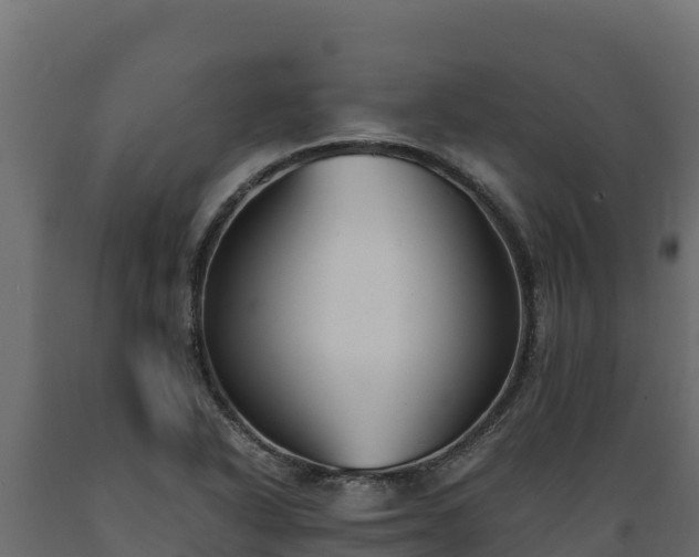 X0000089931318200707061031