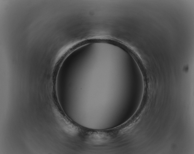 X0000089931319200707061031