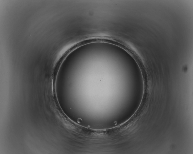 X0000089931320200707061031