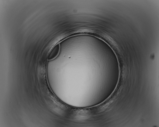 X0000089931321200707061031