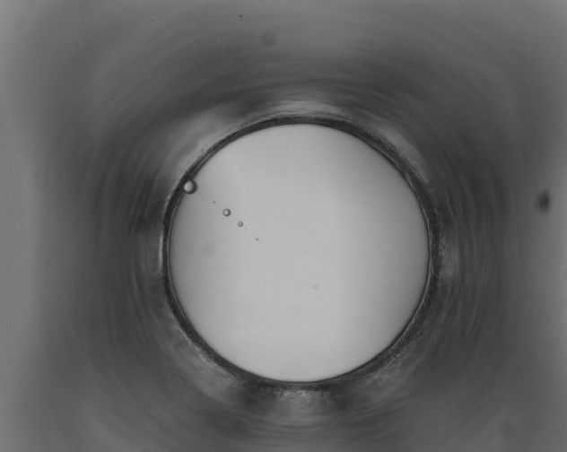 X0000089931322200707061031