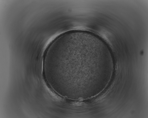 X0000089931323200707061031