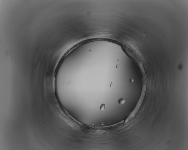 X0000089931324200707061031