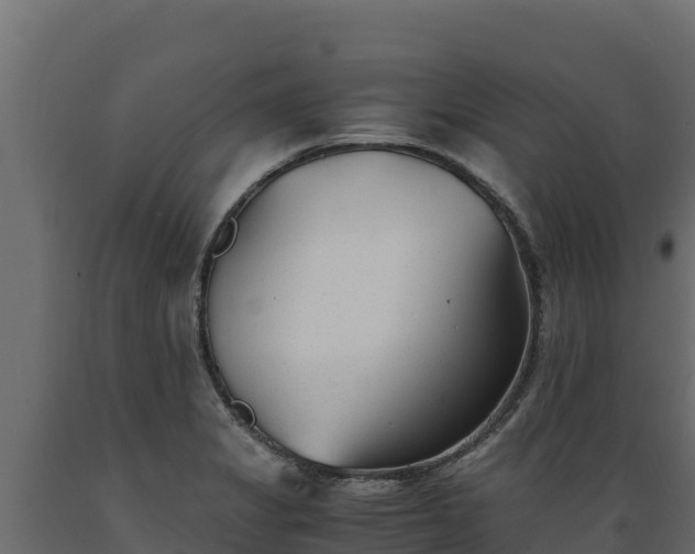 X0000089931325200707061031