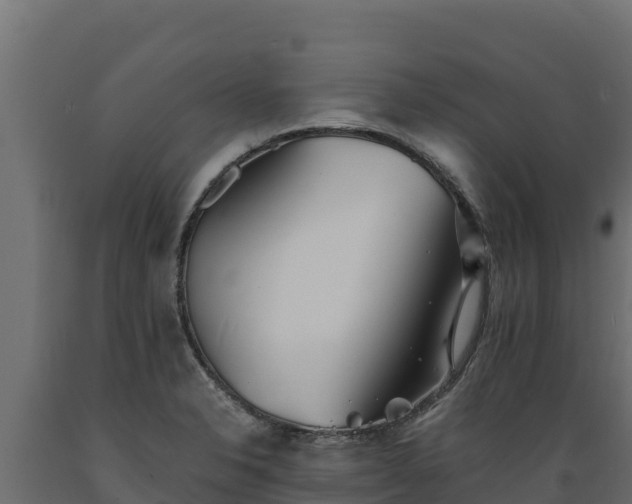 X0000089931326200707061031