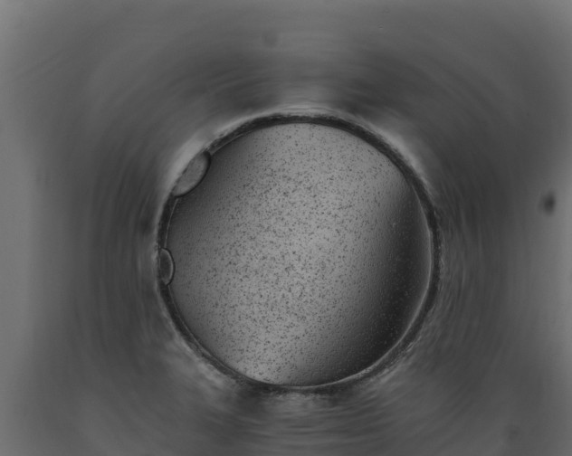 X0000089931327200707061031