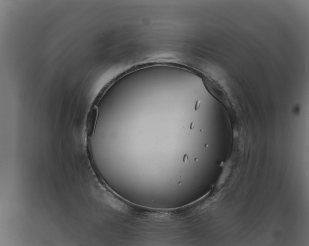 X0000089931328200707061031